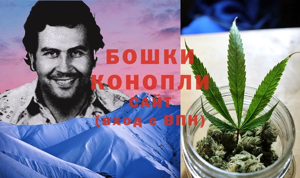 PSILOCYBIN Лихославль