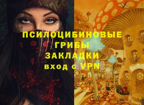 PSILOCYBIN Лихославль