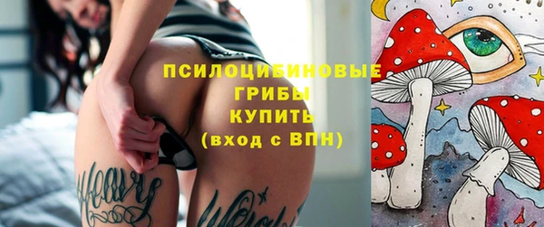 PSILOCYBIN Лихославль