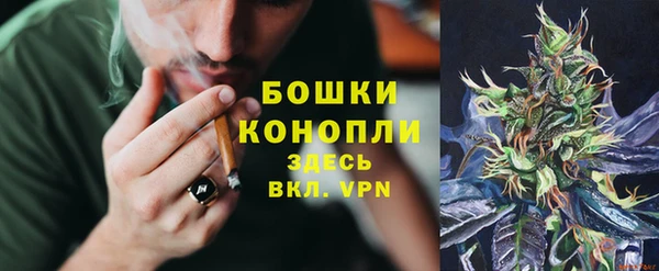 PSILOCYBIN Лихославль