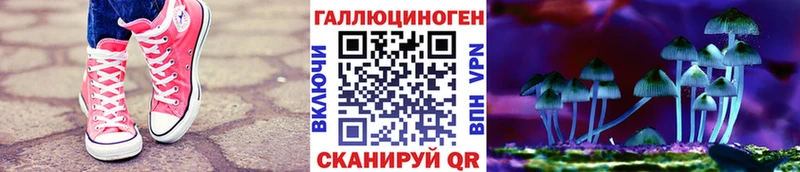 где продают наркотики  blacksprut ТОР  Галлюциногенные грибы Psilocybe  Называевск 